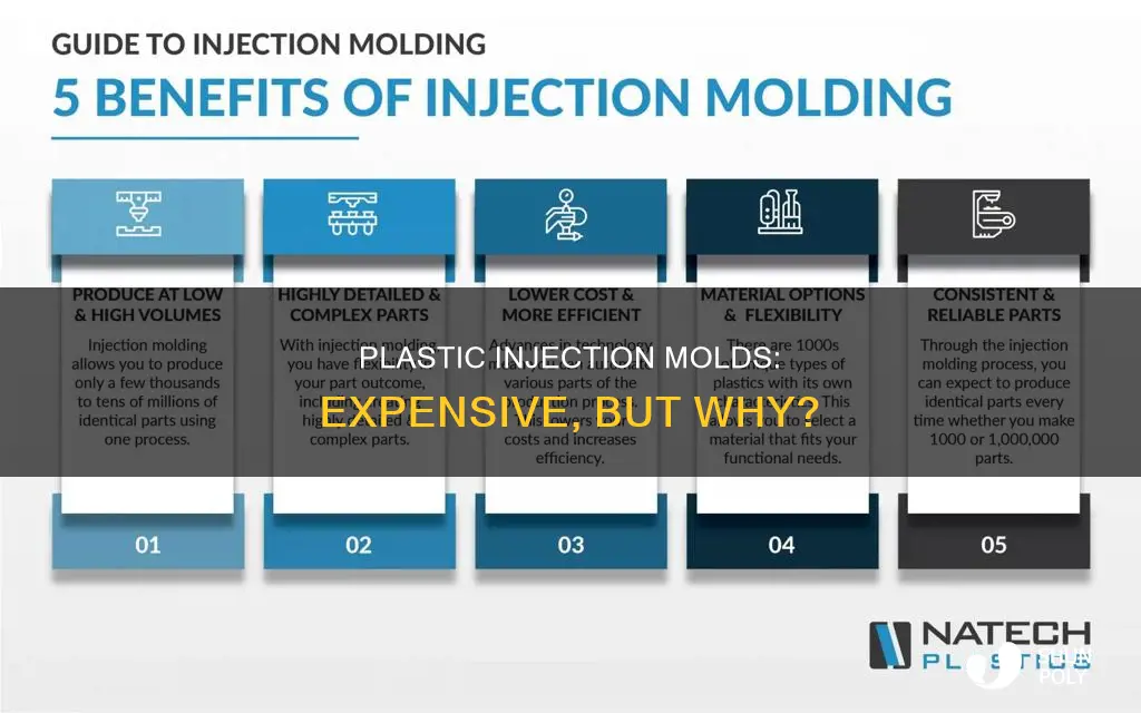 why are plastic injection molds so expensive