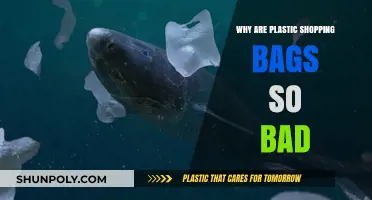The Environmental Impact of Plastic Shopping Bags: A Harmful Legacy