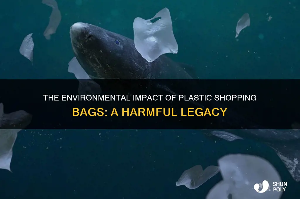 why are plastic shopping bags so bad