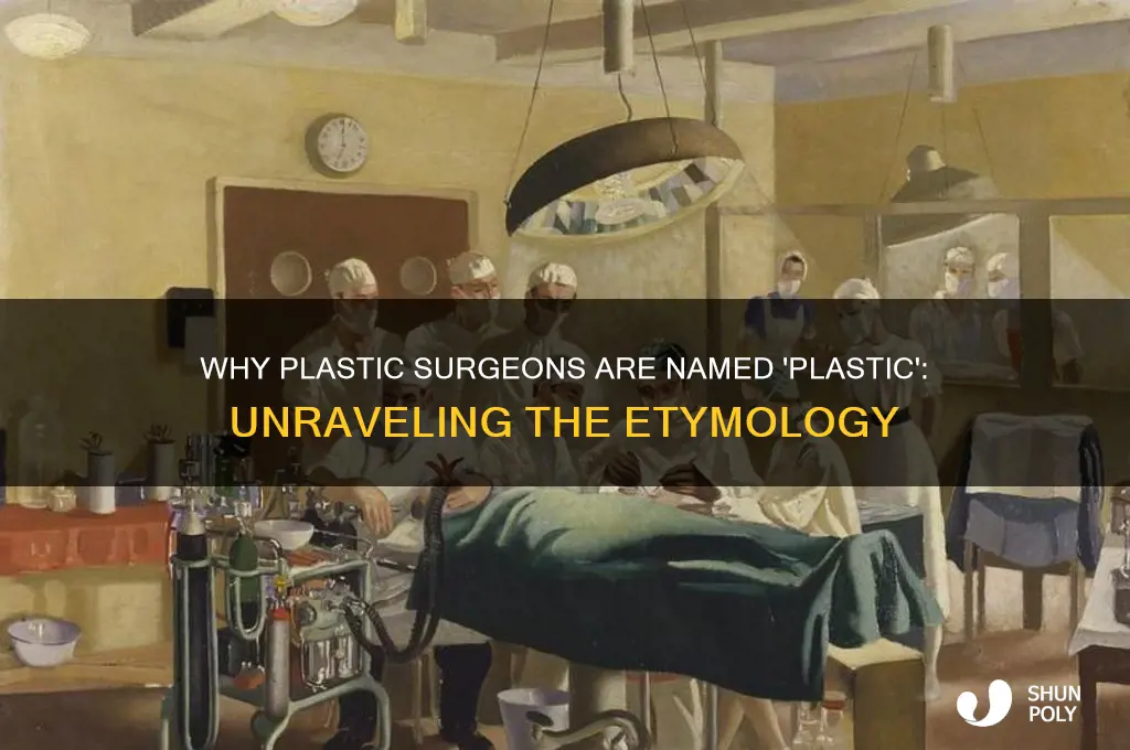 why are plastic surgeons called plastic surgeos