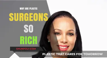 Why Plastic Surgeons Earn High Incomes: A Comprehensive Analysis