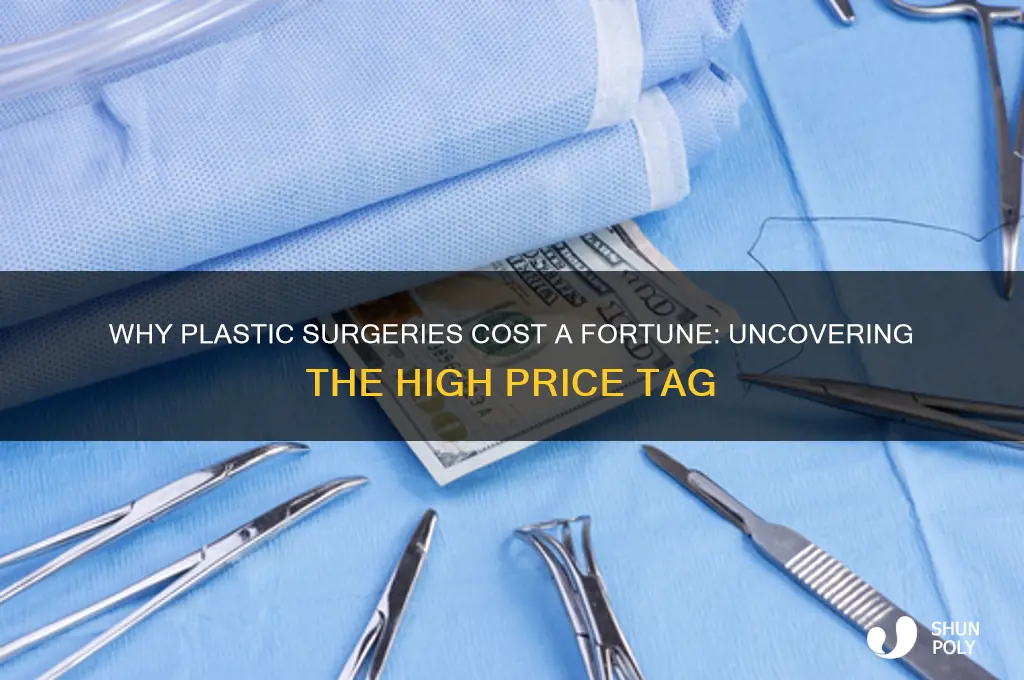why are plastic surgeries so expensive