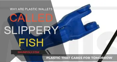 The Slippery Truth: Plastic Wallets' Fishy Nickname