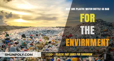 Plastic Water Bottles: Harmful Environmental Impact and Sustainable Alternatives