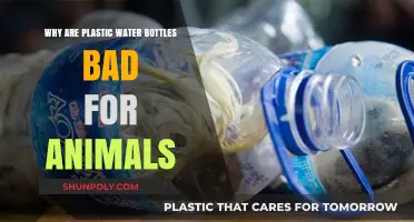 Plastic Water Bottles: Harmful Impact on Wildlife and Ecosystems Explained