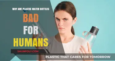Plastic Water Bottles: Hidden Health Risks and Environmental Hazards