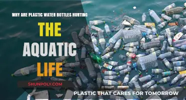 Plastic Water Bottles: A Deadly Threat to Aquatic Ecosystems