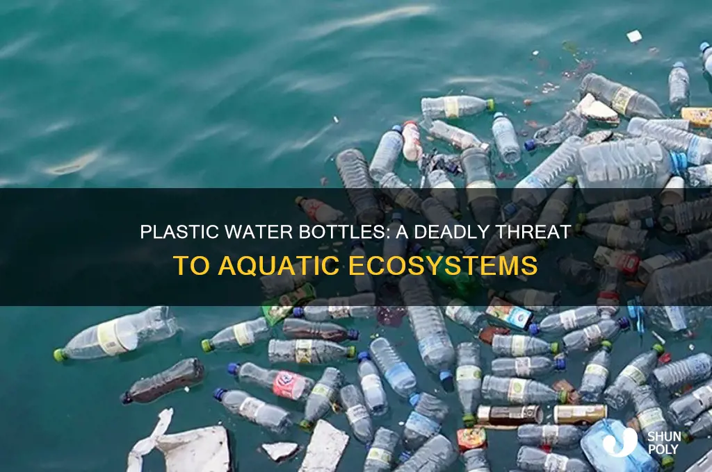 why are plastic water bottles hurting the aquatic life