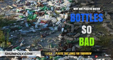 The Hidden Dangers of Plastic Water Bottles: Environmental Impact Explained