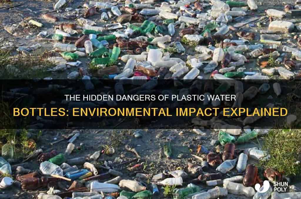 why are plastic water bottles so bad