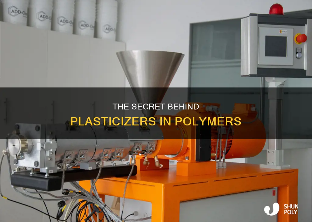 why are plasticizers added to polymers chegg