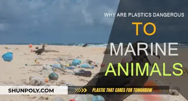 Plastic Peril: Marine Life Endangered by Pollution