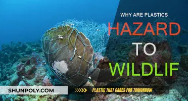 Plastic Pollution: A Deadly Threat to Wildlife