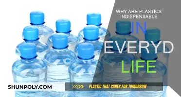 Plastic's Ever-Present Role in Our Daily Lives