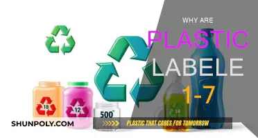 Plastic Numbers: Understanding the Recycling Codes