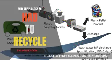 The Complex Challenges of Plastic Recycling