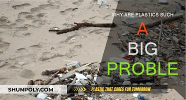 The Plastic Problem: A Global Pollution Crisis