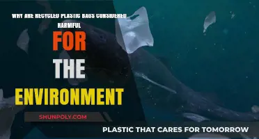 Recycled Plastic Bags: Hidden Environmental Harms and Sustainable Alternatives
