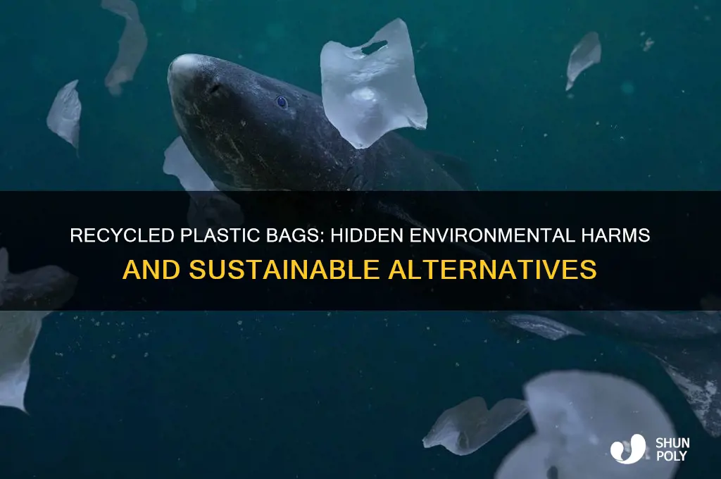 why are recycled plastic bags considered harmful for the environment