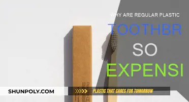 Plastic Toothbrushes: Overpriced and Harmful to the Environment