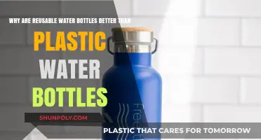 Reusable Water Bottles: Eco-Friendly, Cost-Effective, Healthier Choice Over Plastic