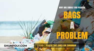 Single-Use Plastic Bags: Environmental Hazards and Sustainable Alternatives