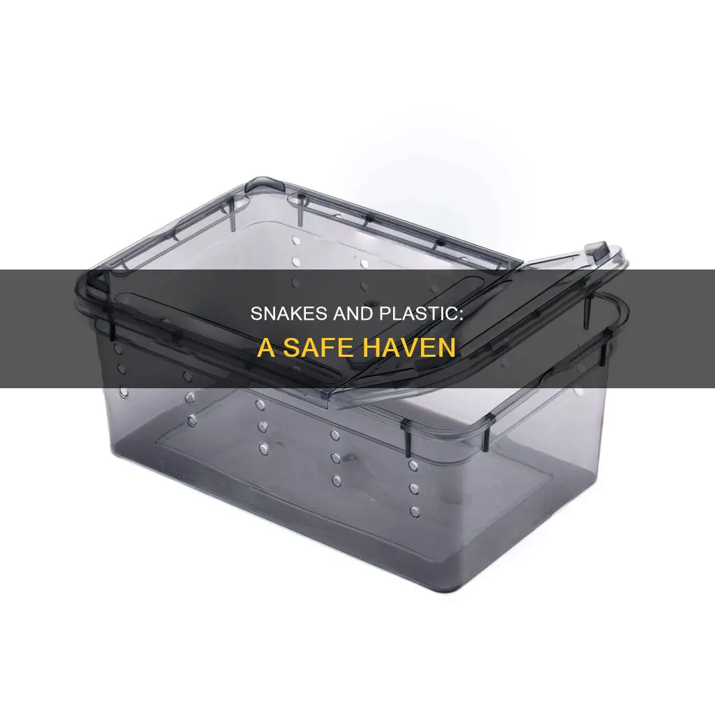 why are snakes kept in plastic containers