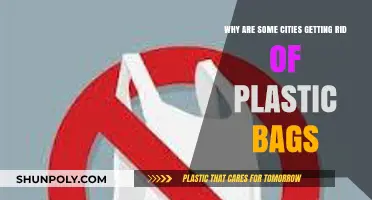 Banning Plastic Bags: How Cities Are Tackling Environmental Waste