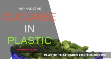 Plastic-Wrapped Cucumbers: Why the Extra Layer?