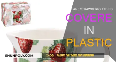 Strawberry Fields: Plastic Protection