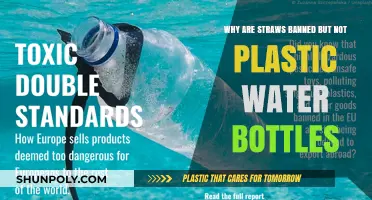 Straws Banned, Bottles Allowed: Unraveling Plastic Waste Double Standards