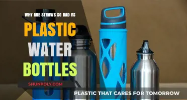Straws vs. Bottles: Uncovering the Lesser Eco-Evil in Plastics