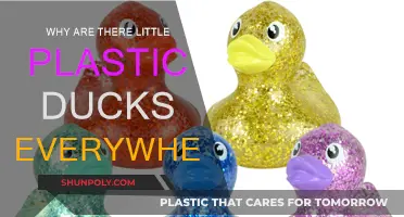 The Mystery of the Ubiquitous Plastic Ducks