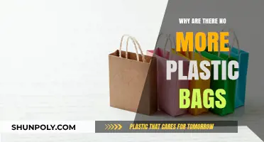 The Disappearance of Plastic Bags: Environmental Wins and Sustainable Alternatives