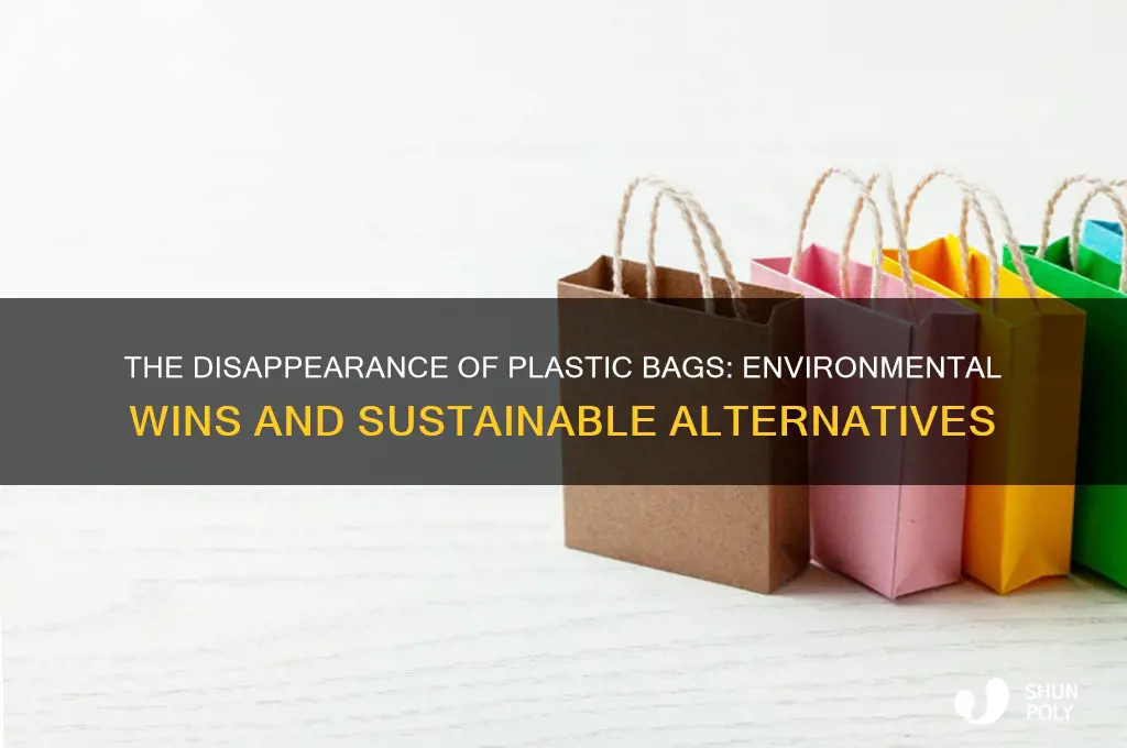 why are there no more plastic bags