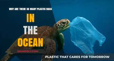 Ocean's Plastic Plague: Unraveling the Crisis of Floating Bags