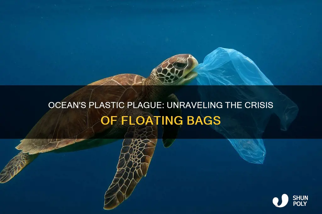 why are there so many plastic bags in the ocean