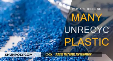 The Plastic Problem: Why So Much Unrecycled Waste?