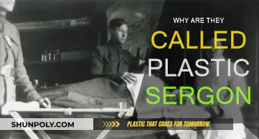 Plastic Surgeons: The Art of Transformation
