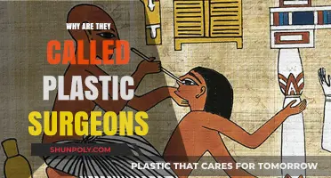 Why Plastic Surgeons? Unraveling the Surprising Origin of Their Name