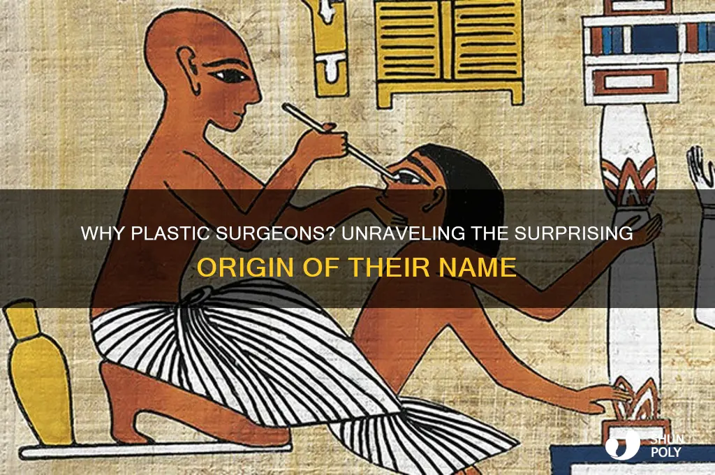 why are they called plastic surgeons