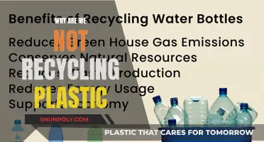 The Plastic Recycling Problem: Why We're Not Doing It