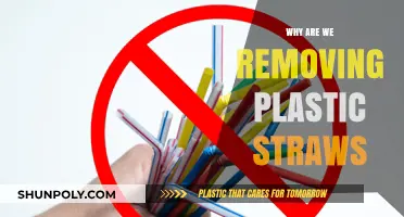 Ditching Plastic Straws: A Small Step Towards a Greener Future