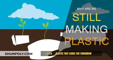 The Plastic Conundrum: Why We Still Make It?