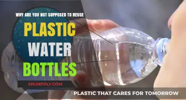 The Hidden Dangers of Reusing Plastic Water Bottles