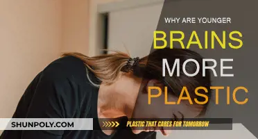 Young Brains: Highly Malleable and Adaptable