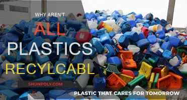 The Complexities of Plastic Recycling: Why Aren't All Plastics Recyclable?