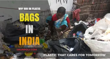 India's Plastic Bag Ban: Environmental Impact and Sustainable Alternatives