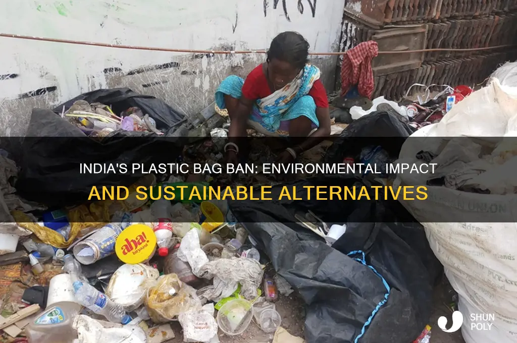 why ban on plastic bags in india
