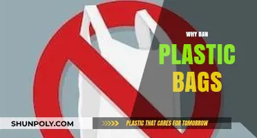 Ditching Plastic Bags: Saving Our Planet, One Step at a Time
